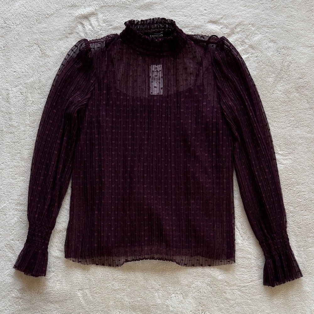 Elegant Sheer Maroon Blouse